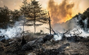 Оценка ущерба после стихийного бедствия в Москве: отчет оценщика