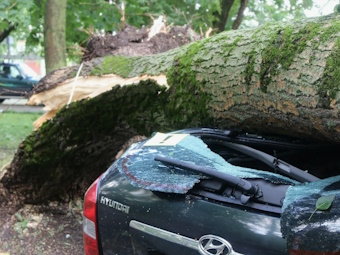 Оценка при падении дерева на машину
